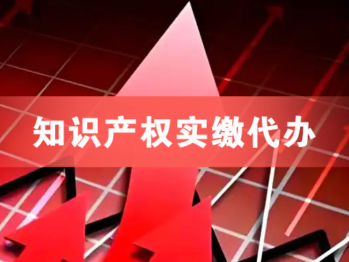 晋江知识产权实缴资本代办